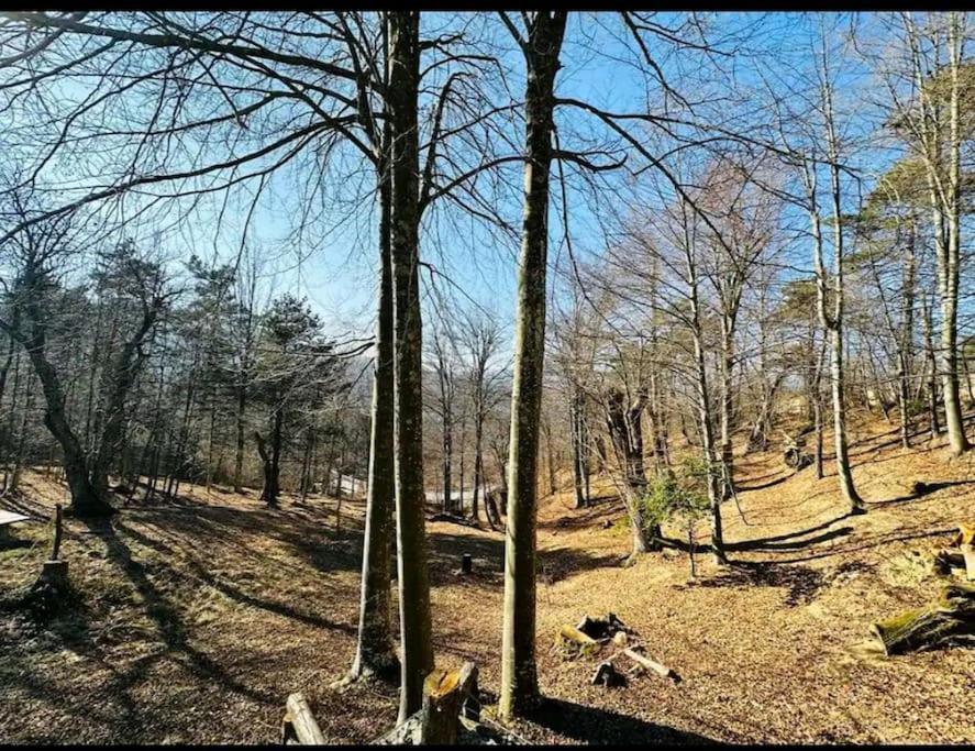Il Villaggio Dei Puffi Bardineto Exteriör bild
