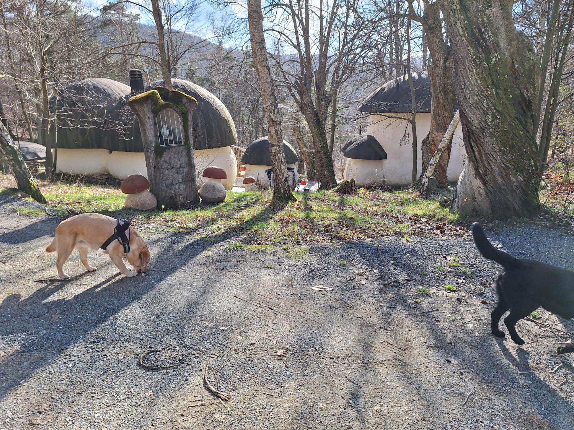 Il Villaggio Dei Puffi Bardineto Exteriör bild
